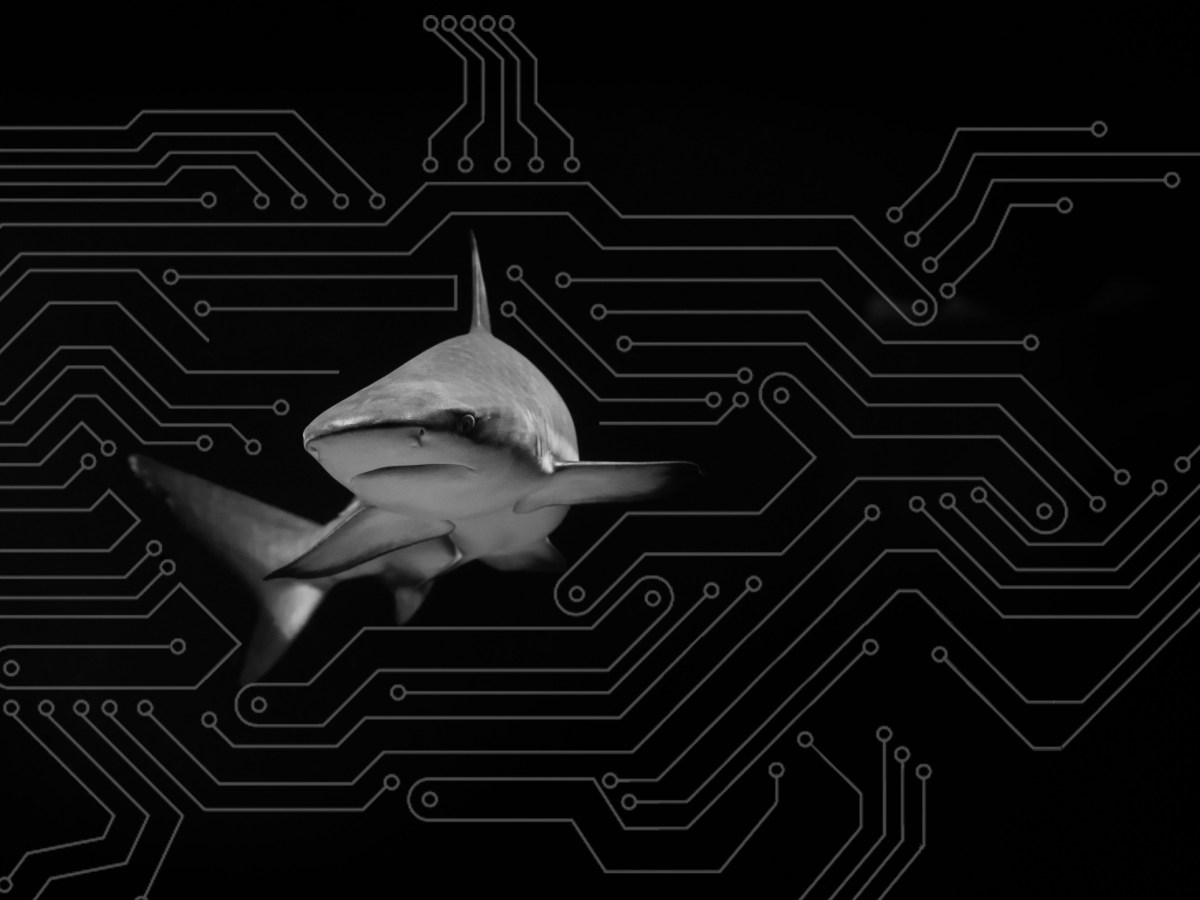 DarkGate Malware: Understanding Delivery and Infection Vectors